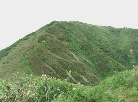 �o���Ă����c���H��U��Ԃ�