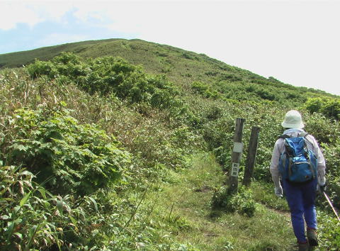 �E�A�ԑq��